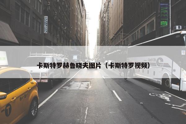 卡斯特罗赫鲁晓夫图片（卡斯特罗视频）
