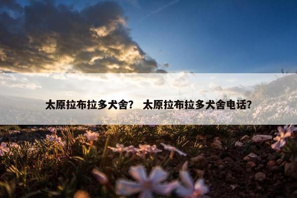太原拉布拉多犬舍？ 太原拉布拉多犬舍电话？