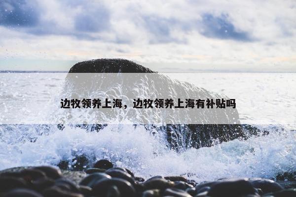 边牧领养上海，边牧领养上海有补贴吗