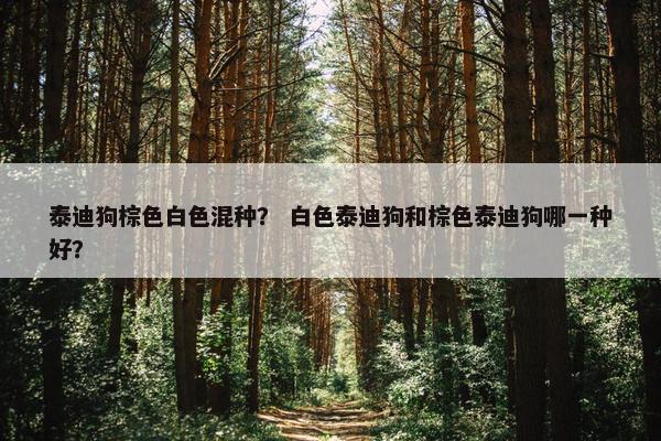 泰迪狗棕色白色混种？ 白色泰迪狗和棕色泰迪狗哪一种好？