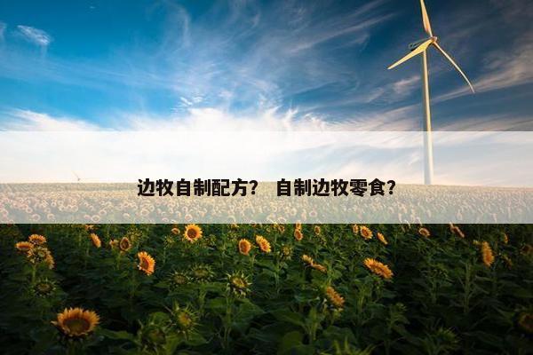 边牧自制配方？ 自制边牧零食？