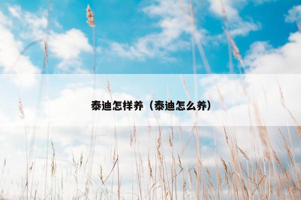 泰迪怎样养（泰迪怎么养）