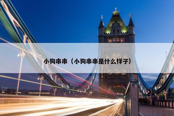 小狗串串（小狗串串是什么样子）