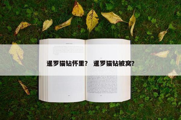 暹罗猫钻怀里？ 暹罗猫钻被窝？