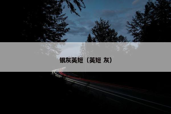 银灰英短（英短 灰）