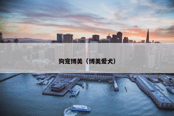狗宠博美（博美爱犬）