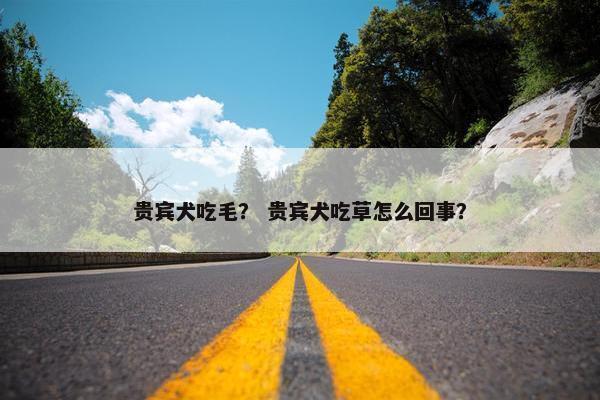 贵宾犬吃毛？ 贵宾犬吃草怎么回事？