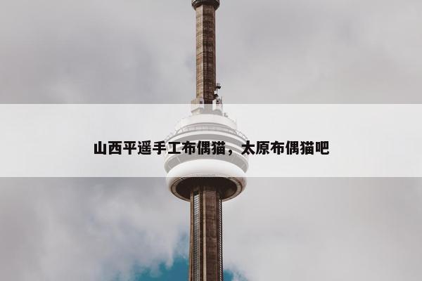 山西平遥手工布偶猫，太原布偶猫吧