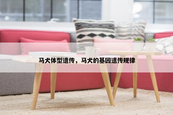 马犬体型遗传，马犬的基因遗传规律