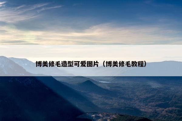 博美修毛造型可爱图片（博美修毛教程）