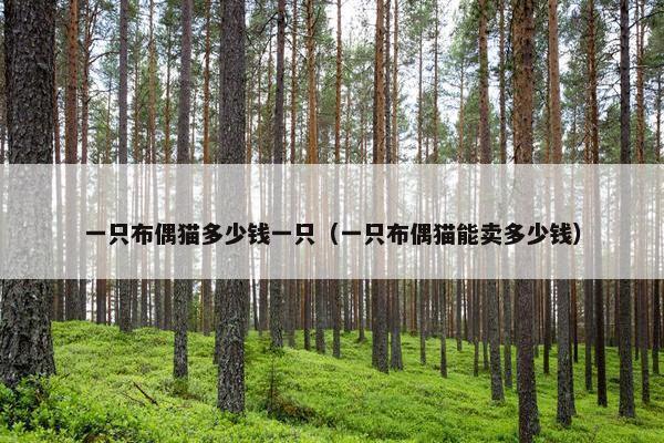 一只布偶猫多少钱一只（一只布偶猫能卖多少钱）