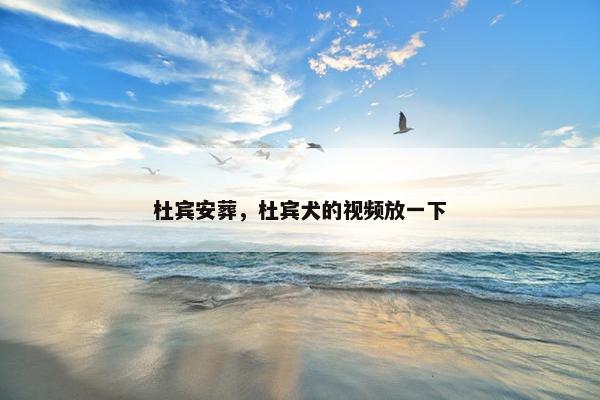 杜宾安葬，杜宾犬的视频放一下