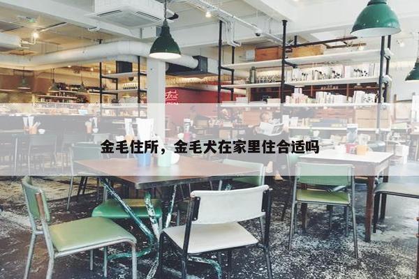 金毛住所，金毛犬在家里住合适吗