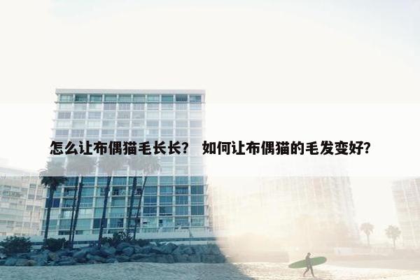 怎么让布偶猫毛长长？ 如何让布偶猫的毛发变好？