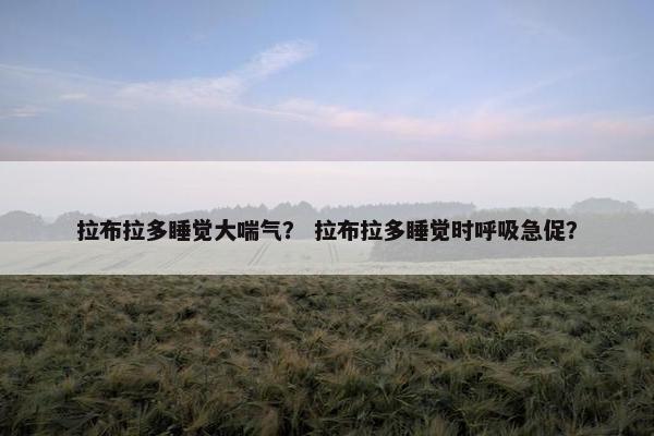 拉布拉多睡觉大喘气？ 拉布拉多睡觉时呼吸急促？