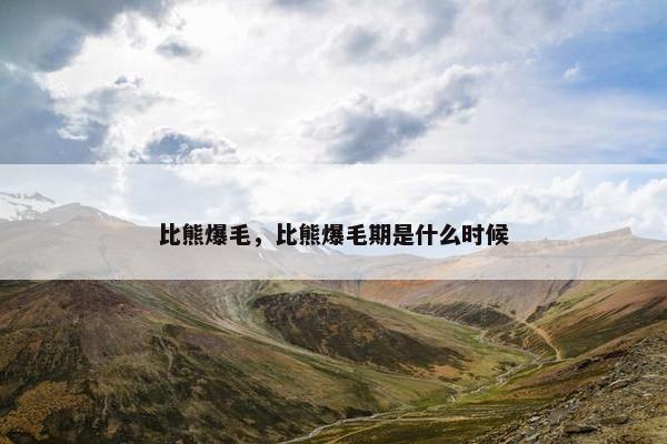 比熊爆毛，比熊爆毛期是什么时候