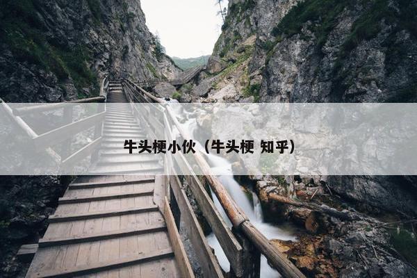 牛头梗小伙（牛头梗 知乎）