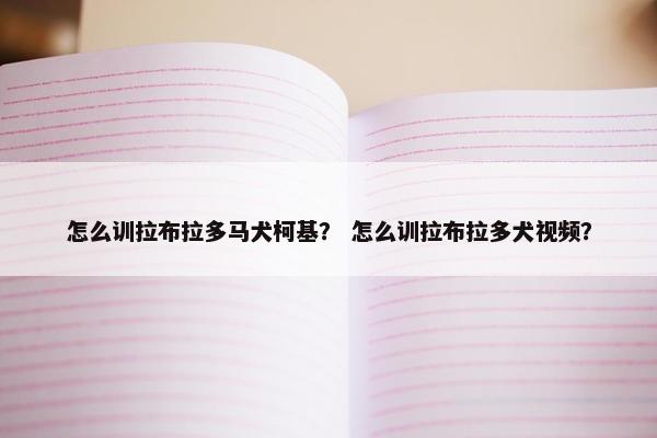 怎么训拉布拉多马犬柯基？ 怎么训拉布拉多犬视频？