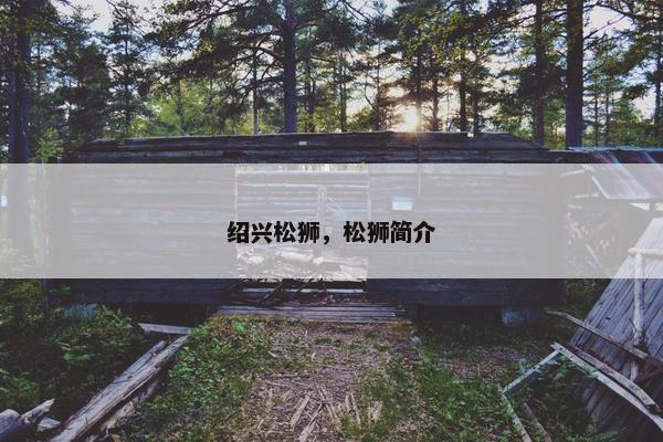 绍兴松狮，松狮简介