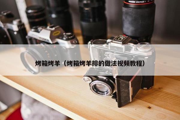 烤箱烤羊（烤箱烤羊排的做法视频教程）