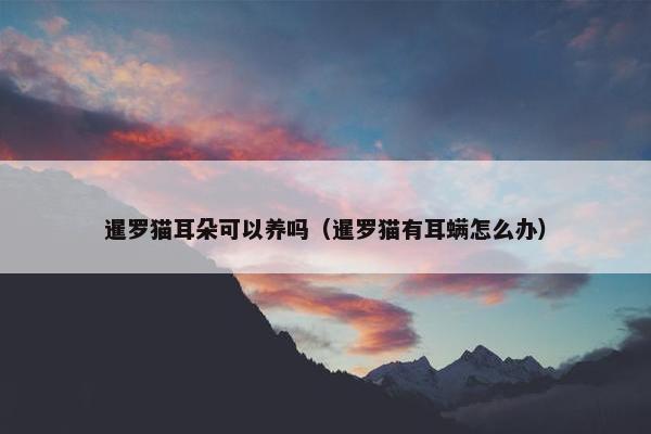 暹罗猫耳朵可以养吗（暹罗猫有耳螨怎么办）