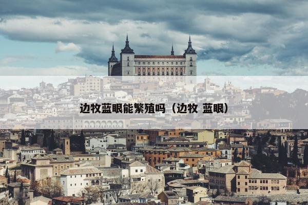 边牧蓝眼能繁殖吗（边牧 蓝眼）