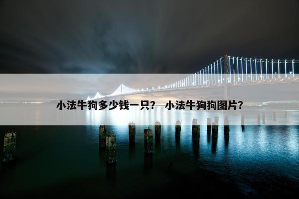 小法牛狗多少钱一只？ 小法牛狗狗图片？