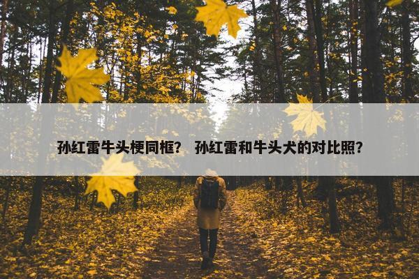 孙红雷牛头梗同框？ 孙红雷和牛头犬的对比照？