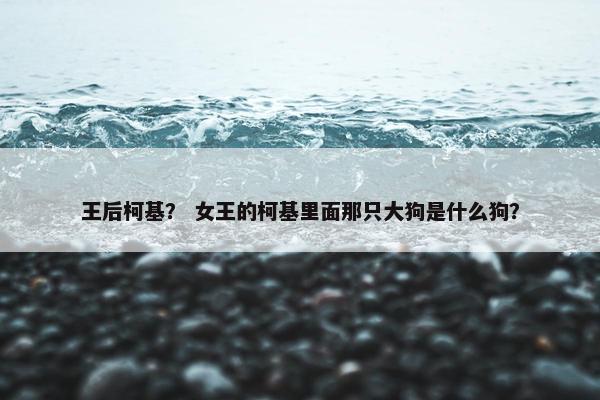 王后柯基？ 女王的柯基里面那只大狗是什么狗？