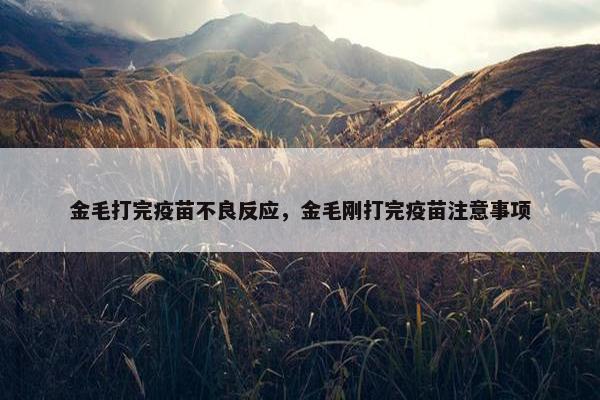 金毛打完疫苗不良反应，金毛刚打完疫苗注意事项