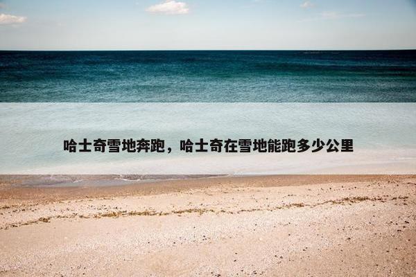 哈士奇雪地奔跑，哈士奇在雪地能跑多少公里
