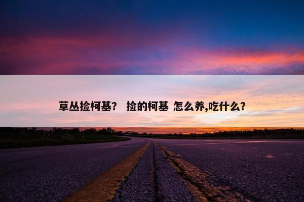 草丛捡柯基？ 捡的柯基 怎么养,吃什么？