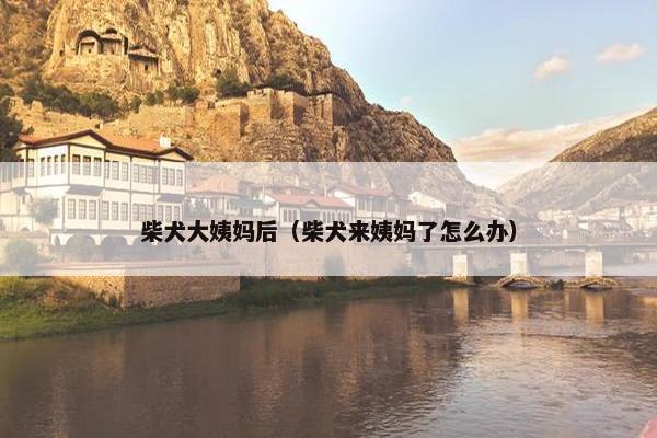 柴犬大姨妈后（柴犬来姨妈了怎么办）