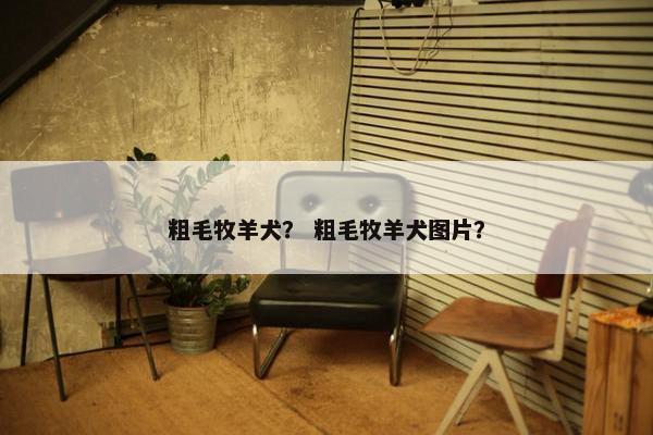 粗毛牧羊犬？ 粗毛牧羊犬图片？