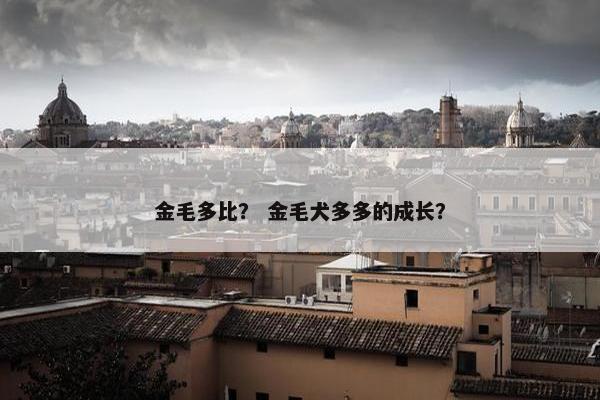 金毛多比？ 金毛犬多多的成长？