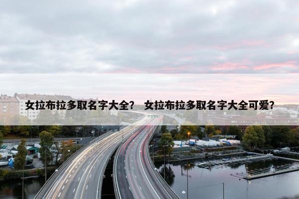 女拉布拉多取名字大全？ 女拉布拉多取名字大全可爱？