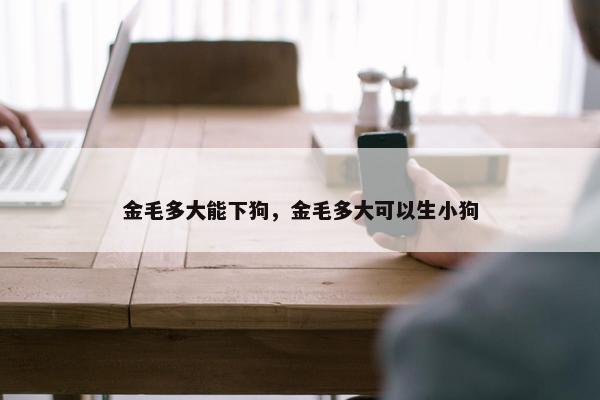金毛多大能下狗，金毛多大可以生小狗