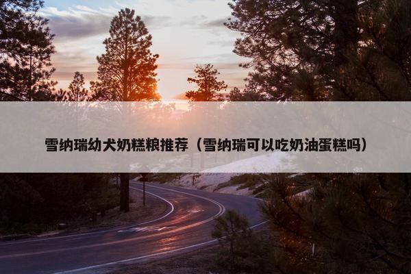 雪纳瑞幼犬奶糕粮推荐（雪纳瑞可以吃奶油蛋糕吗）