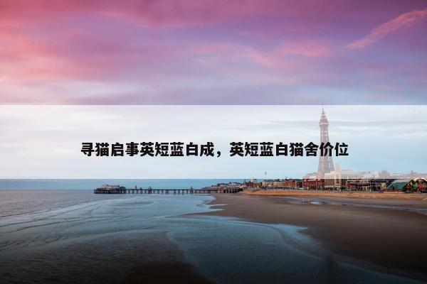 寻猫启事英短蓝白成，英短蓝白猫舍价位