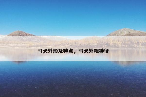 马犬外形及特点，马犬外观特征