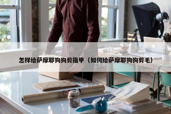 怎样给萨摩耶狗狗剪指甲（如何给萨摩耶狗狗剪毛）