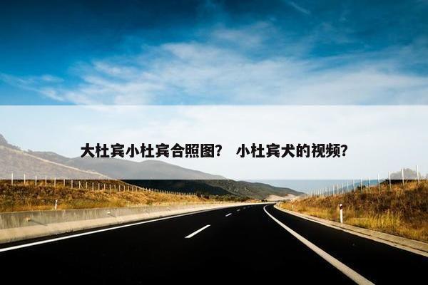 大杜宾小杜宾合照图？ 小杜宾犬的视频？