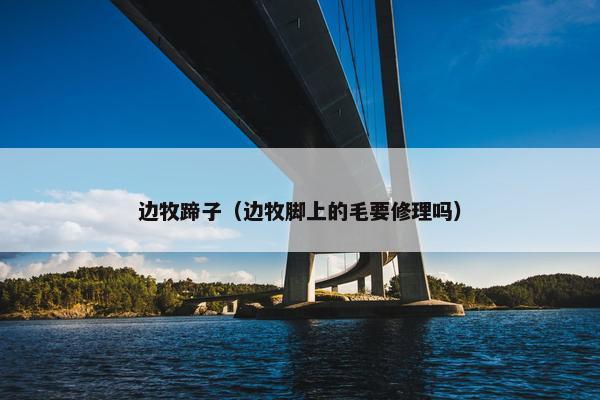 边牧蹄子（边牧脚上的毛要修理吗）
