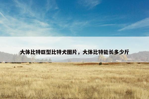 大体比特巨型比特犬图片，大体比特能长多少斤