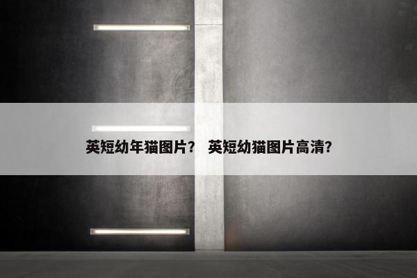 英短幼年猫图片？ 英短幼猫图片高清？