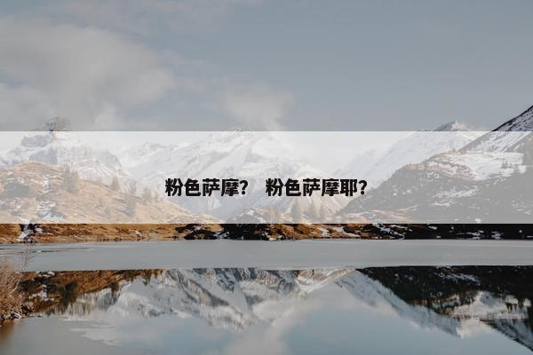 粉色萨摩？ 粉色萨摩耶？