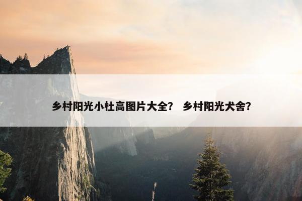乡村阳光小杜高图片大全？ 乡村阳光犬舍？