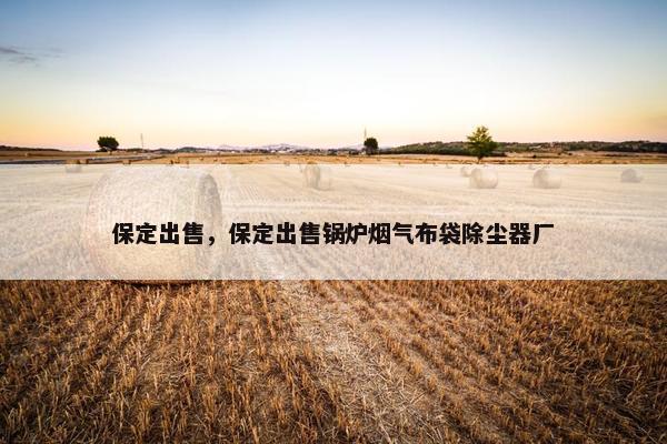 保定出售，保定出售锅炉烟气布袋除尘器厂