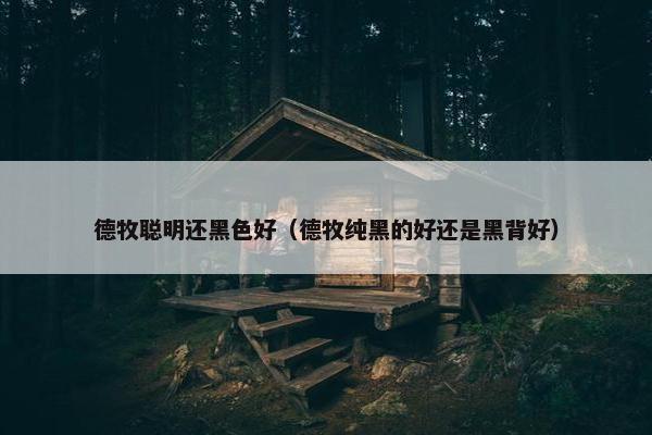 德牧聪明还黑色好（德牧纯黑的好还是黑背好）
