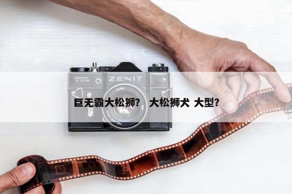 巨无霸大松狮？ 大松狮犬 大型？